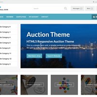 Портфолио auctionscriptt